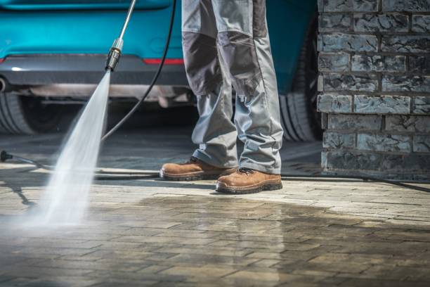 Best Pre-Holiday Cleaning  in La Mesilla, NM