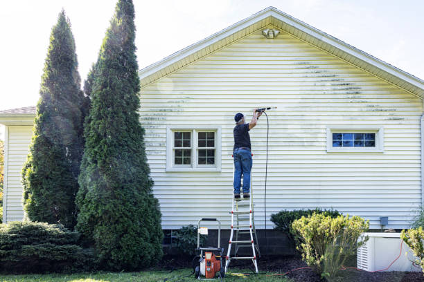 Best Building Exterior Washing  in La Mesilla, NM